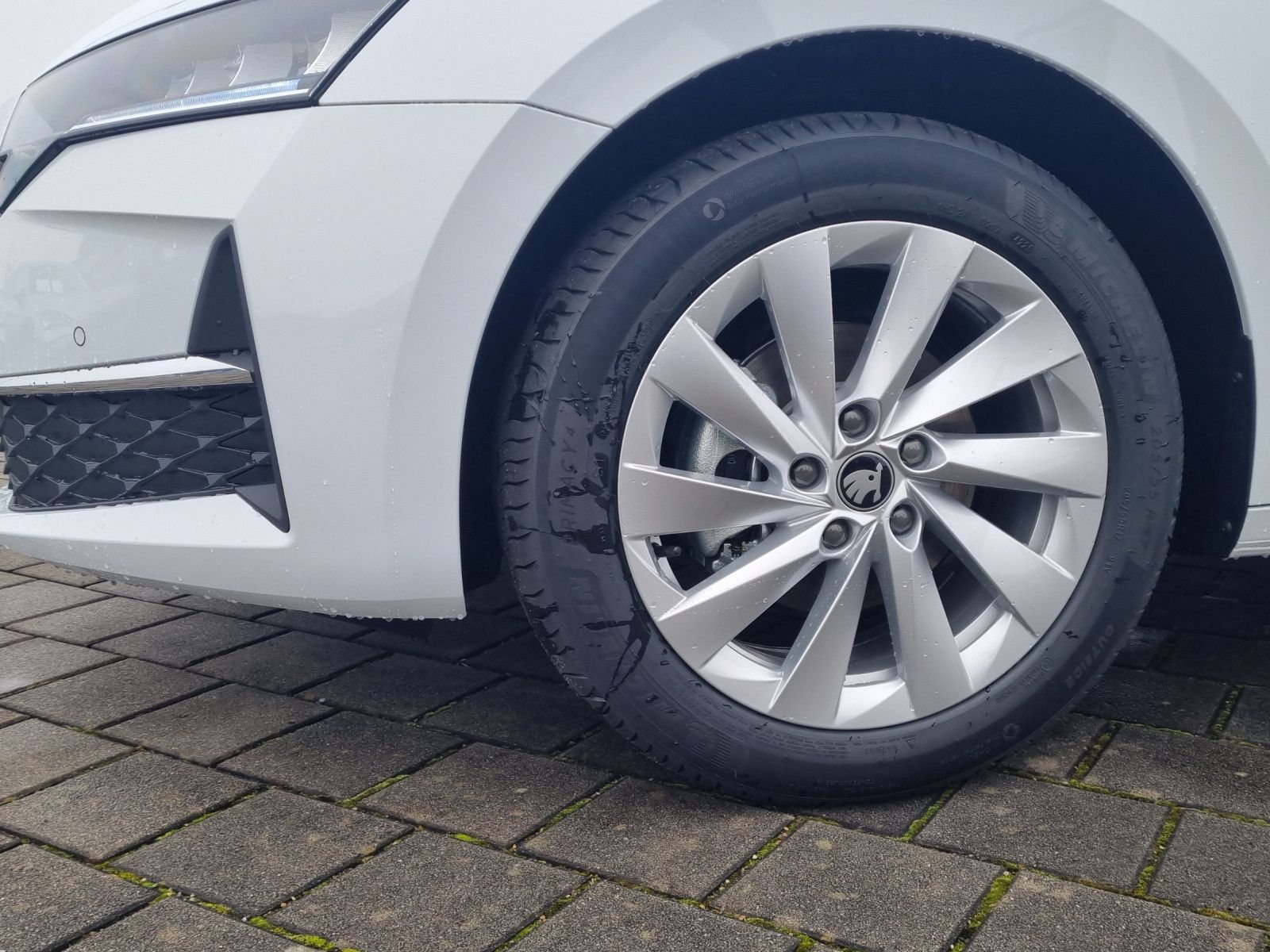 Fahrzeugabbildung SKODA Octavia Combi Selection 1.5 TSI mHEV AHK Kamera