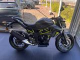 Kawasaki Z 125 - Angebote