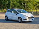 Ford Fiesta 1.6 TDCi 95CV 5 porte Titanium 2014- - Ford Fiesta: 95