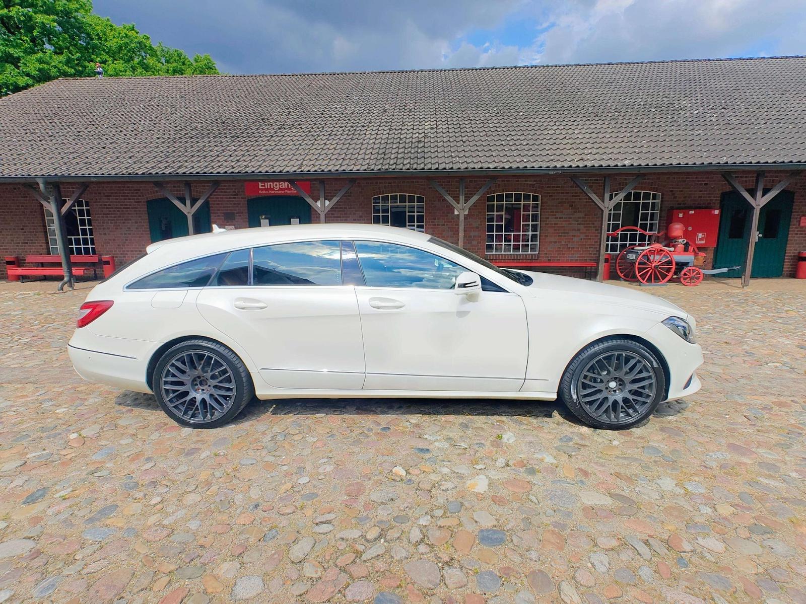 Mercedes-Benz CLS 250 CLS 250 CDI BlueTec MultiBeam /