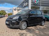Fiat Pandina 3. Sitz, PDC, DAB, Freispr. NP 17.990€ - Fiat Panda Vorführfahrzeuge