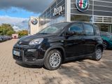 Fiat Pandina 3. Sitz, PDC, DAB, Freispr. NP 17.990€ - Fiat Panda: 3.1
