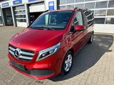 Mercedes-Benz V 250 EDITION 4MATIC Kompakt LED 7 Sitzer Stdhzg - Mercedes-Benz V 250: Rot