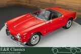 Alfa Romeo Spider Guilietta Cabrio - 1961 - Alfa Romeo Oldtimer: Cabrio