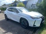 Lexus UX 250 h Style Edition, ACC, Kamera, LED - Lexus UX aus 2022