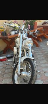 Andere Titan Gecko 113/SX - BENZIN CHOPPER