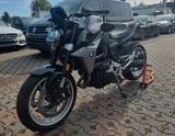 BMW F 900 R   2.HAND-HEIZGRIFFE-SCHECKHEFT A2 - Offers matching your search criteria