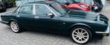 Jaguar XJ40 - Jaguar XJ40 mit Benzin-Antrieb