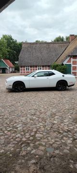 Dodge Challenger - Dodge Challenger aus 2018