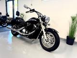Yamaha XVS 1300 Midnight Star nur 19.350 km !  Miller ! - YAMAHA XV