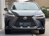 Lexus NX 350h*ACC*BUSINESS*KAM*LEDER*KEY*EL SITZE*LED* - Lexus: Nx
