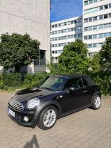 MINI Cooper Cabrio Cooper - MINI Cooper Cabrio: Braun
