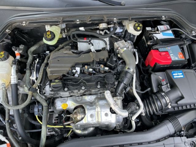 Fahrzeugabbildung Ford Focus 1.5 EcoBlue Active X Autom. AHK, Sitzheizu