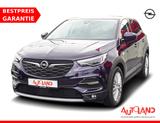 Opel Grandland 1.2 Innovation LED Totwinkel AHK DAB - Opel Grandland (X) Gebrauchtwagen in Berlin