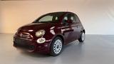 Fiat 500 top gepflegt - Fiat 500 Gebrauchtwagen in Aachen