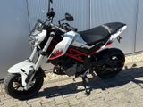 Benelli TNT 125 - BENELLI TNT