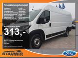 Fiat Ducato Kastenwagen 35 180 M L4H2 Kamera Klima - Fiat Ducato: Kastenwagen