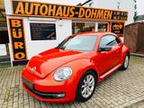 Volkswagen Beetle Lim. Club BMT+Navi+Wartung NEU - Volkswagen New Beetle mit Benzin-Antrieb: mit Navigationssystem