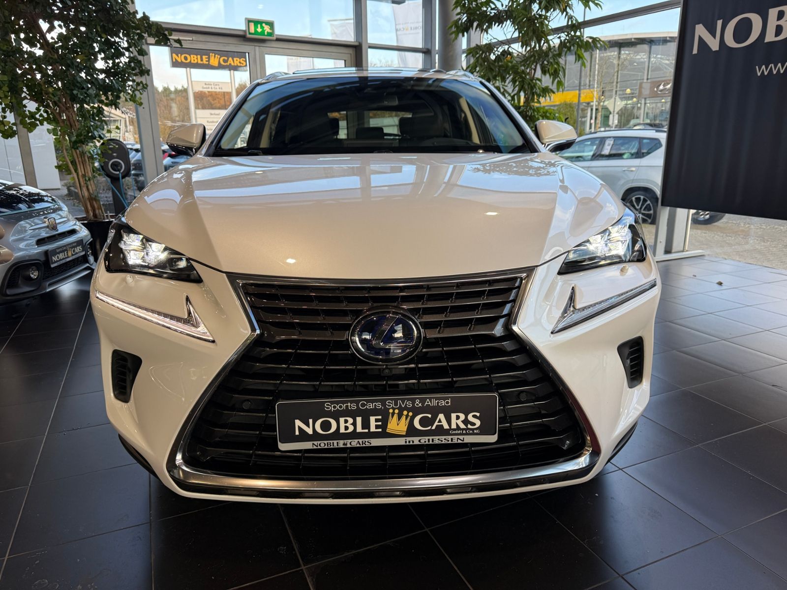 Fahrzeugabbildung Lexus NX 300h E-Four Luxury Line HUD 360° LED NAV