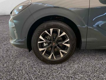 Cupra Terramar - 4