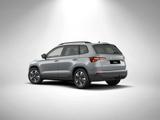 Skoda Karoq Balance 1,5 TSI 150PS DSG ACC SHZ PDC AHK - Skoda Karoq
