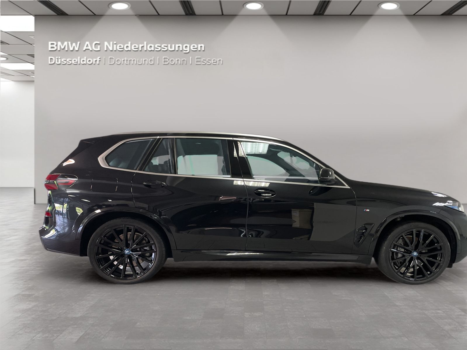 BMW X5 xDrive50e M Sport Driv.Assist.Prof Harman K foto 5