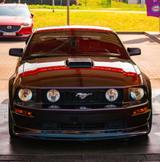 Ford Mustang GT Premium Shaker 82T KM - Ford Mustang Gebrauchtwagen in Dresden