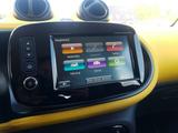Smart FORTWO CABRIO FINAL COLLECTOR EDITION 21 Sitzhz - Smart ForTwo: Ed