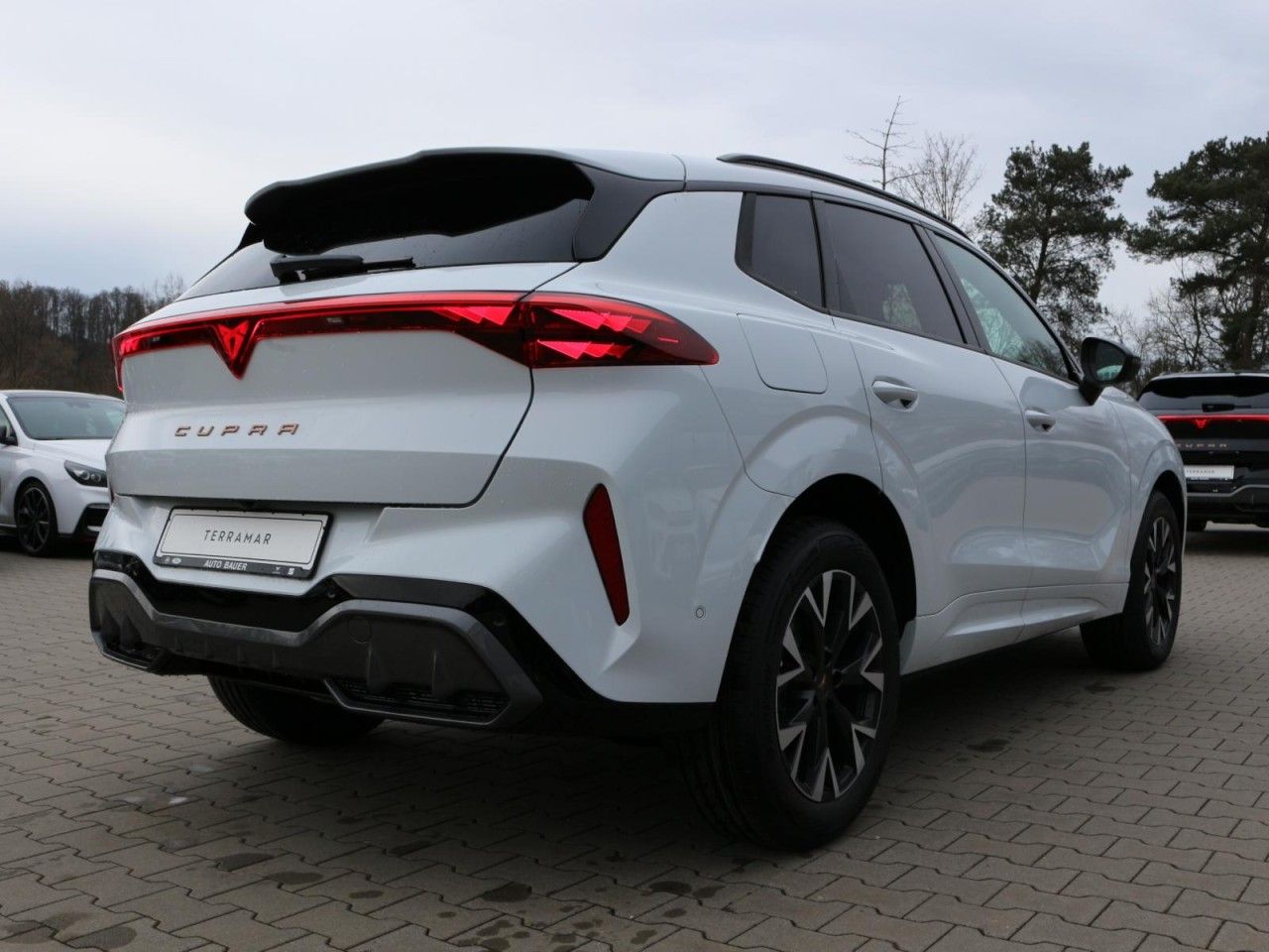 Fahrzeugabbildung CUPRA Terramar 1.5 eTSI PS DSG