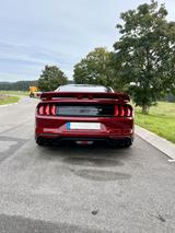 Ford Mustang 5.0 Ti-VCT V8 Bullitt Shelby GT350 Style - Ford Mustang: Shelby Gt350