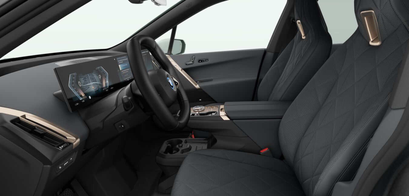 BMW iX xDrive40 ACC Laser SpurAss StHzg 360° AHK RFK foto 5