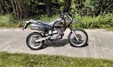 Mz Baghira 660 - MZ BAGHIRA