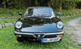 Alfa Romeo Spider 2000 Aerodinamica - Pininfarina - gebrauchte Alfa Romeo Spider aus dem Jahr 1986