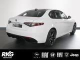 Alfa Romeo Giulia MY24 TRIBUTO ITALIANO 2.0 Turbo 16V 280 P - Alfa Romeo Giulia in Bonn