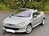 Peugeot 206cc Sport TÜV Neu Leder Scheckhe... - Peugeot 206: Sport