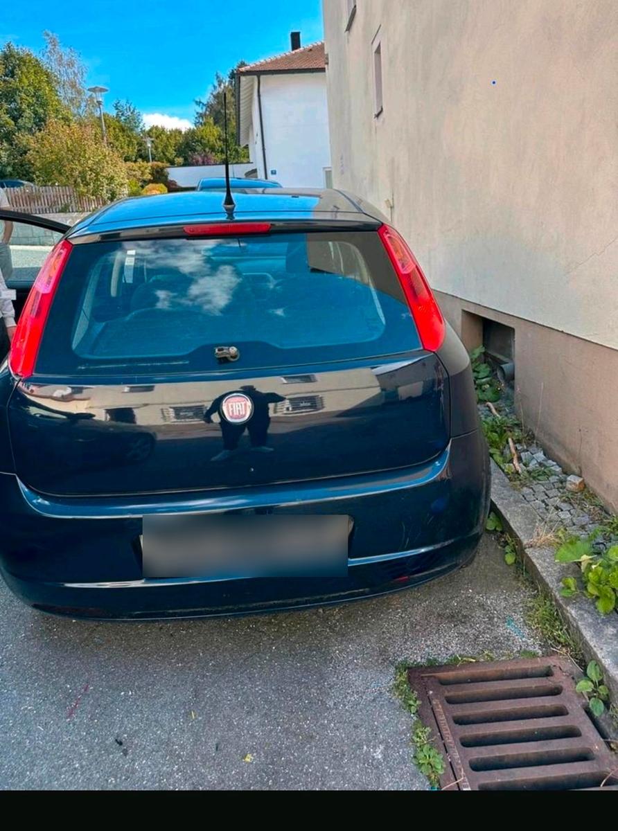 Fiat Punto 2009 — rear view
