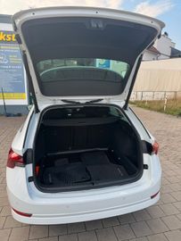 Skoda Octavia - 5