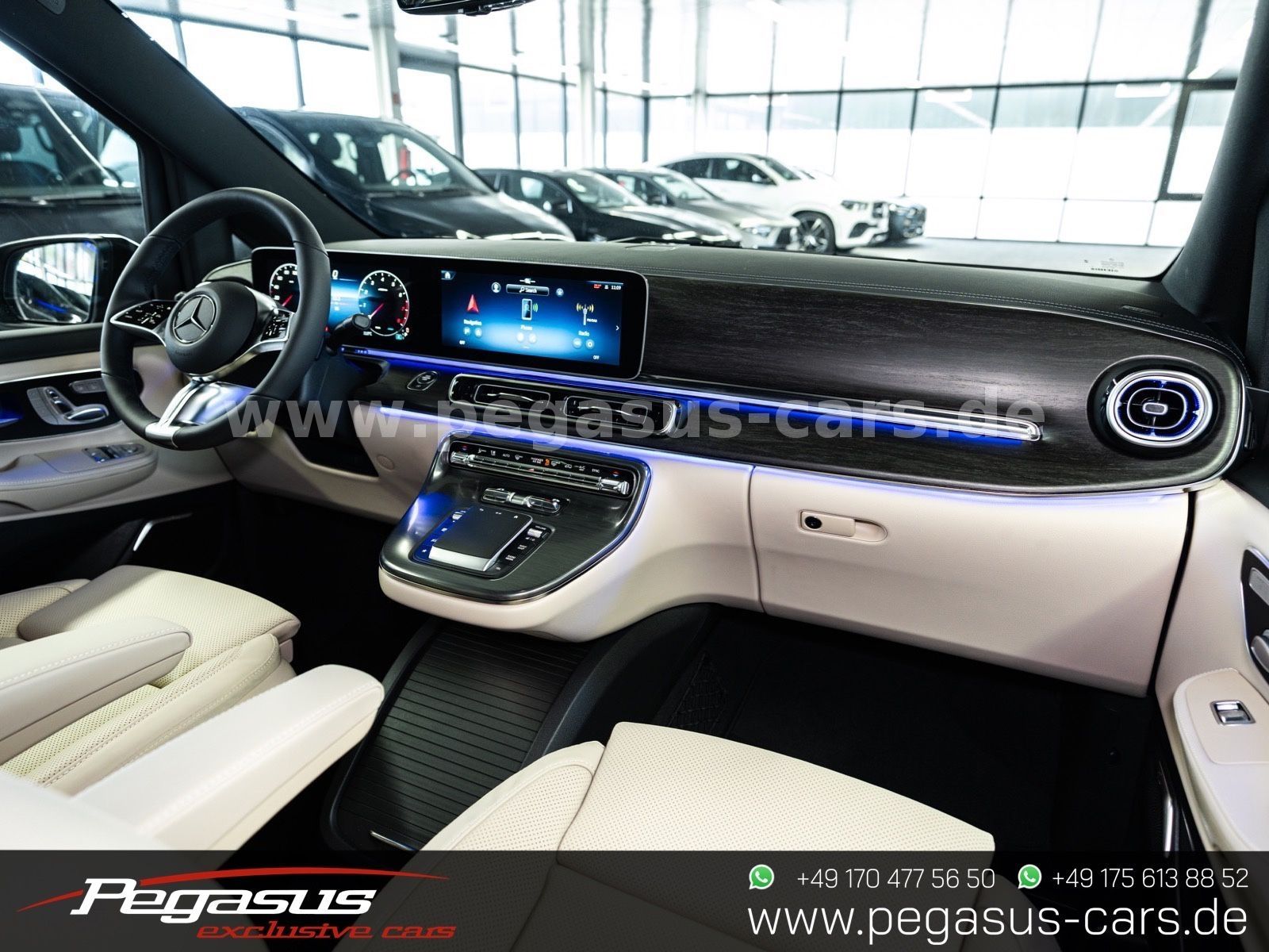 MERCEDES-BENZ V 300 - 21