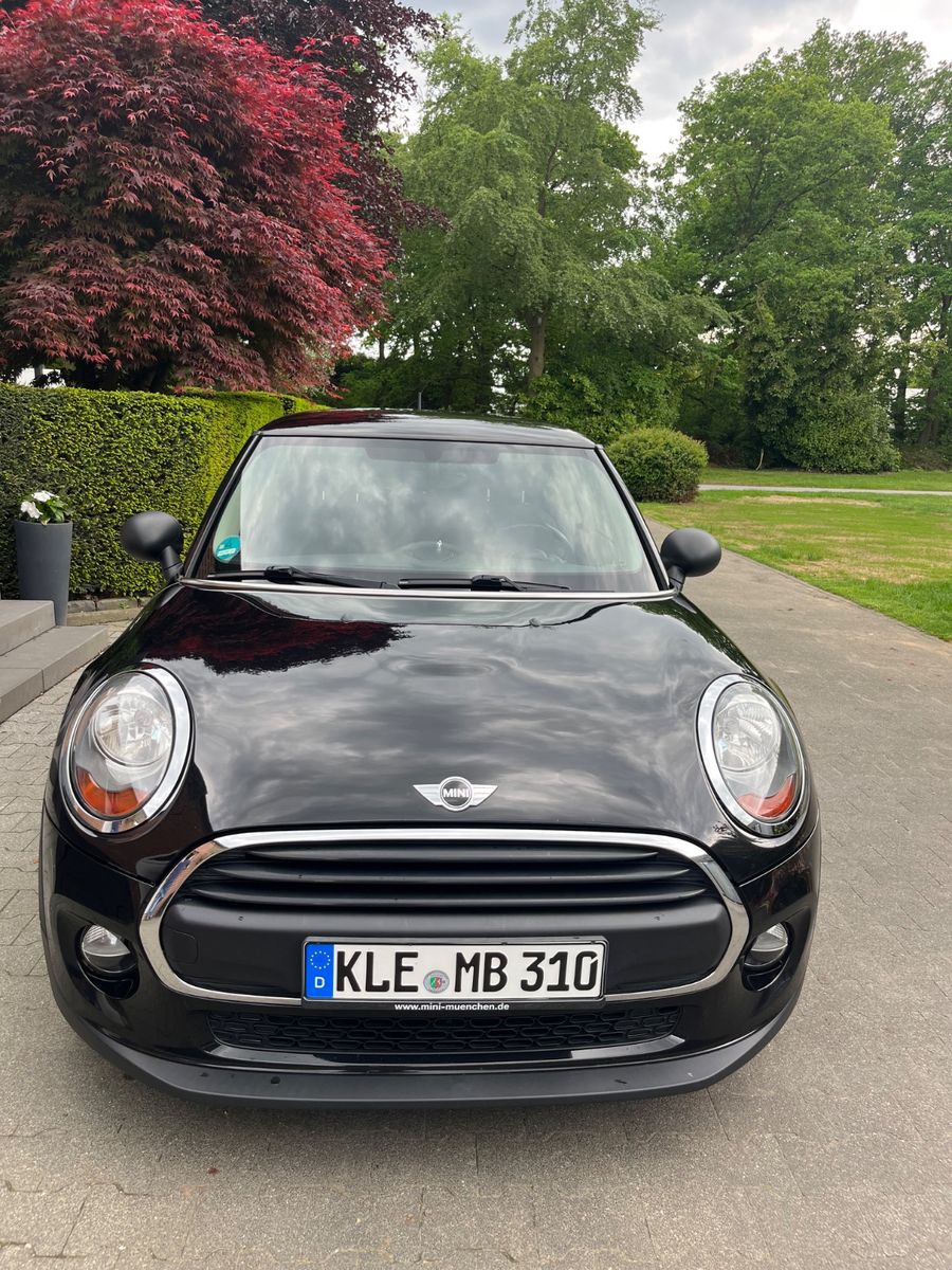 MINI ONE_D