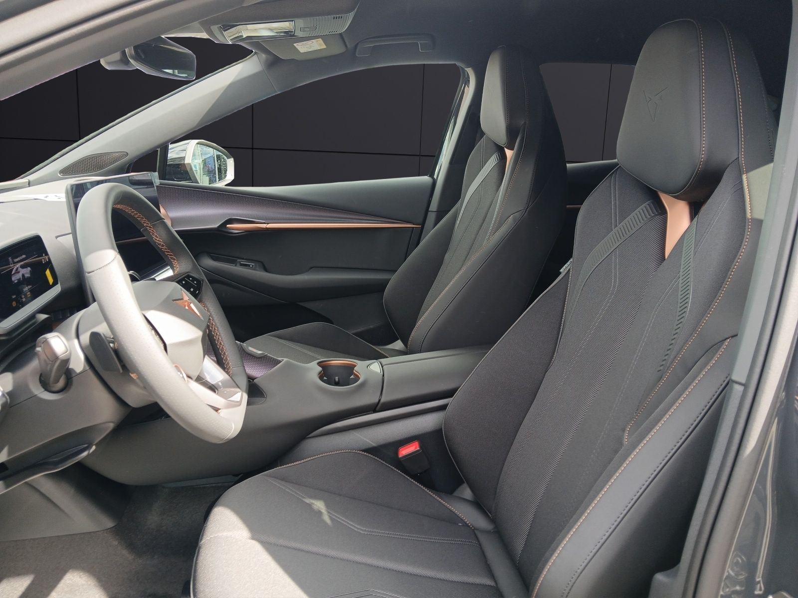 Fahrzeugabbildung CUPRA Tavascan VZ 4Drive BelowZero