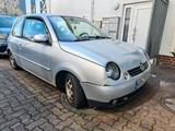 Volkswagen Lupo 1.0 COMFORTLINE Comfortline - Volkswagen Lupo: Comfortline
