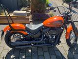 Harley-Davidson Street Bob 114 Jekill and Hyde - Motorräder in Halle