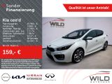 Kia cee'd 1.6 T-GDi GT-Track, SHZ, Pano-Dach, LM-Fel - Kia: Weiß, Cee D