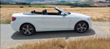 BMW 220i Cabrio Sport Line Xenon Navi SH - BMW 220: I
