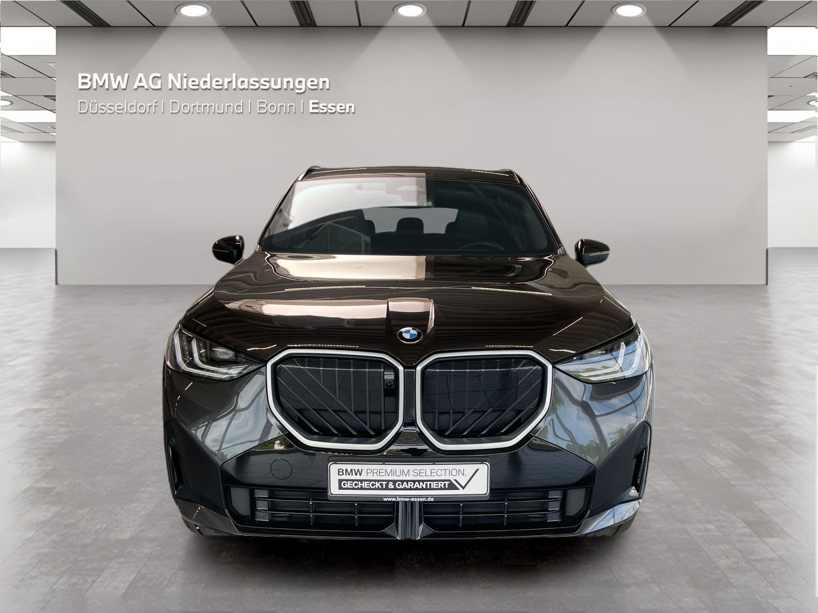 BMW X3 - Bild 8