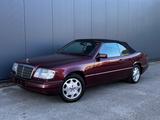 Mercedes-Benz E 200 Garagenwagen mit original Wiesmann Hardtop - Mercedes-Benz E 200 aus 1996