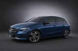 Mercedes-Benz B 200 7G-DCT*WIDE*MBUX*LED*SPUR*LEDER*PARK-ASSIS - : Blau, Van