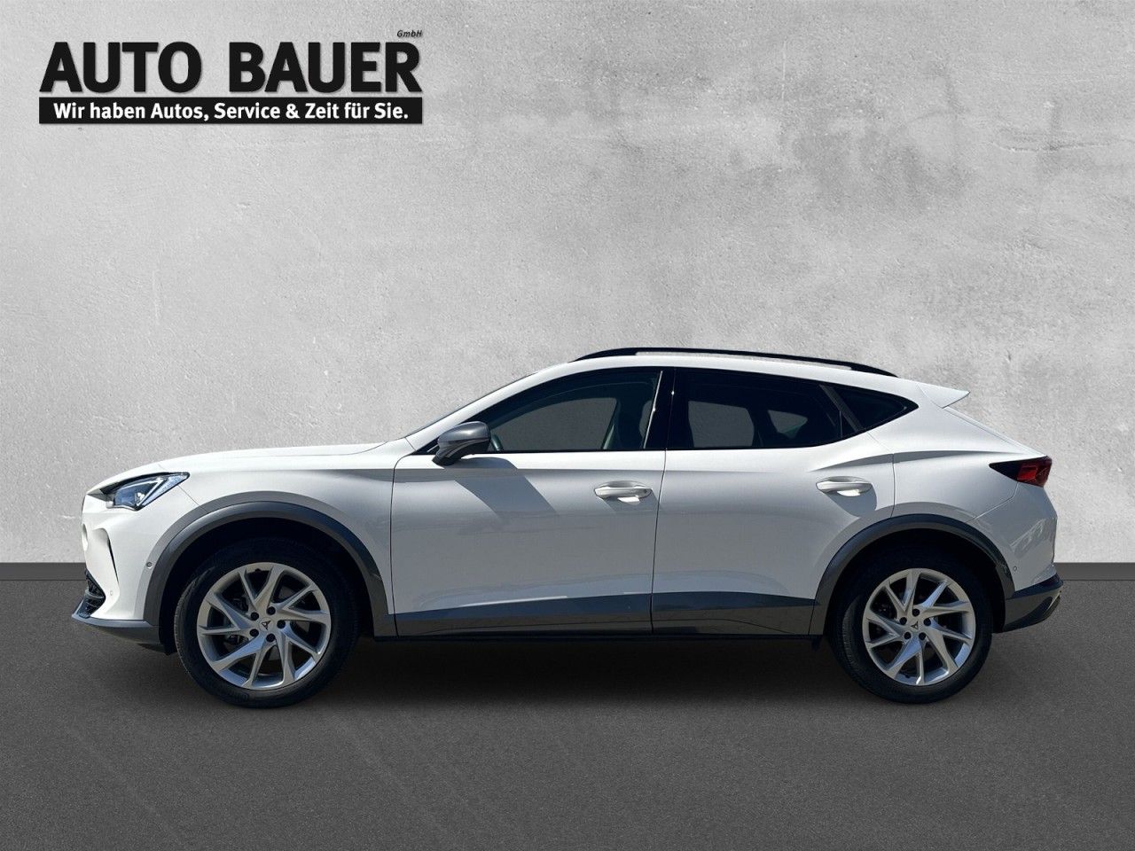 Fahrzeugabbildung CUPRA Formentor 2.0 TDI 6-Gang