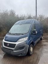 Fiat Ducato 2.3 131ps - Fiat Ducato in Kiel