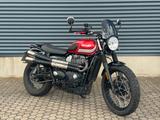 Triumph Street Scrambler TOP, kurzes Heck, LED-Blinker - TRIUMPH SCRAMBLER